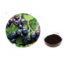 ISO Certificated 100% Natural Aronia Melanocarpa Extract Powder,20-60% anthocyanidin,Aronia Chokeberry Extract