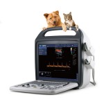 Good Price Ultrasound System Full Digital Color Doppler Portable Diagnostic Ultrasound Machine