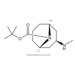 exo-3-methylamino-9-boc-9-azabicyclo[3.3.1]nonane,CAS No.: 1818847-31-2,bridge-ring,building block