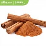 100% Natural Cinnamon Extract