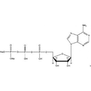 Adenosine 5'-triphosphate disodium salt(ATP)