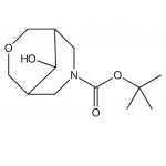 tert-Butyl-9-hydroxy-3-oxa-7-azabicyclo[3.3.1]nonane-7-carboxylate,CAS No.: 1147557-68-3,bridge-ring,building block