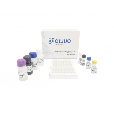 Human ANGPTL4(Angiopoietin-related protein 4) ELISA Kit