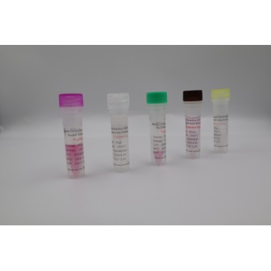 Cov Nucleic Acid Test Kit