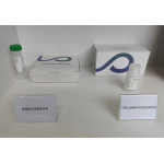 Human SDC2 Gene Methylation Detection Kit (Fluorescent PCR)