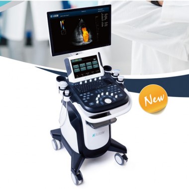 Mobile Digital Ultrasound Trolley Color Doppler medical ultrasound instruments