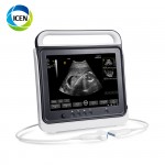 IN-A50A medical laptop ICEN 3d 4d veterinary dog  pregnancy portable color doppler scanner ultrasound machine