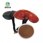 Immunity enhancement Reisi Mushroom Powder Ganoderma lucidum Extract Polysaccharides 10%-50%