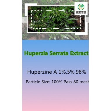Huperzia Serrata Extract