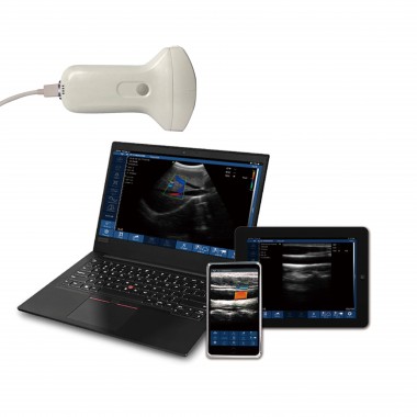 IN-AM Electronic array Convex color USB handheld ultrasound probe