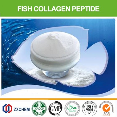 Hydrolyzed tilapia fish skin collagen peptide powder