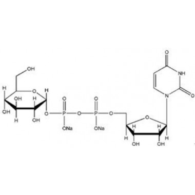 Uridine 5'-diphosphoglucose disodium salt(UDP-G)