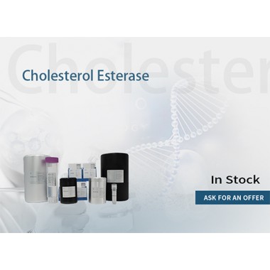Cholesterol esterase (Recombinant from microorganism)