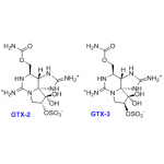 11α-hydroxysaxitoxin;Gonyautoxin 2