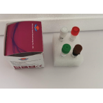 COVID-19 Virus Nucleic Acid Detection Kit