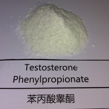Hupharma Testosterone Phenylpropionate injectable steroids Powder