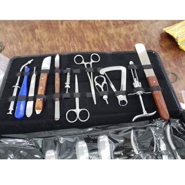 IN-DI30 Stainless Steel Dentist Instruments Surgical Hygiene Kit dental tool instrument