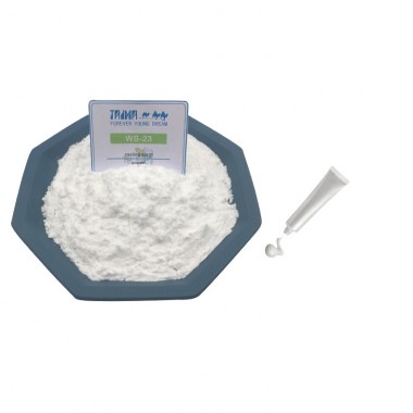High Pure Cooling Agent Powder WS-23 For Toothpaste Free Sample