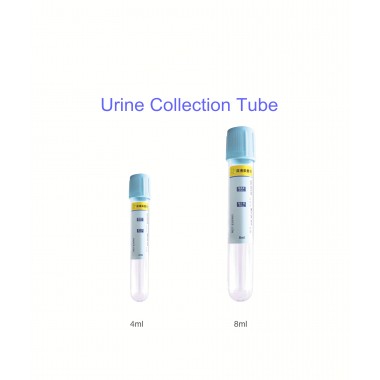 urine collection tube and cup