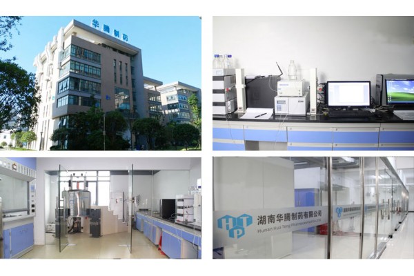 Hunan Huateng Pharmaceutical Co. Ltd