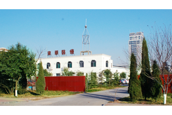 Shandong Dermcosy Medical Co.,Ltd.