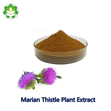 pure marian thistle plant extract natural factors