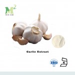 Supply Natural Garlic Extract
