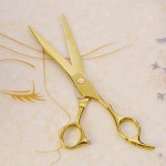 Professional Pet Grooming Straight Thinning Gold Scissors Polishing Tool Animal Haircut Suppliers Instruments