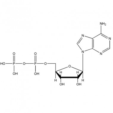 Adenosine 5'-diphosphate (ADP-H, CAS 58-64-0)