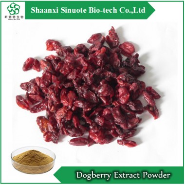 Plant Extract Dogberry Extract Powder
