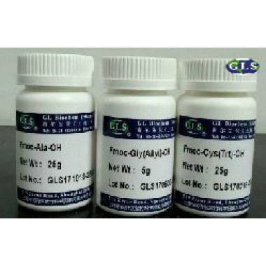 H-Gly-Gly-NH2 · HCl|16438-42-9
