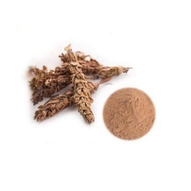 Natural Common Selfheal Spike Extract Powder Prunella Vulgaris Leaf Extract