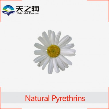 Natural Pyrethrins, Pyrethrum extract