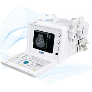 DW-3101A Portable ultrasound scanner