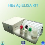 hepatitis B HBsAg/HBsAb/HBeAg/HBeAb/HBcAb Elisa test reagents