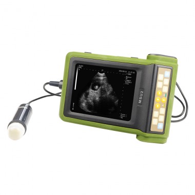MSU2 Diagnostic Equipment Portable Veterinary Ultrasound For Animals With Sunshine Cover