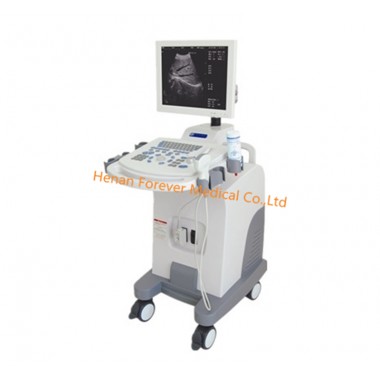 SVGA Non-Interlaced High Resolution Ultrasound System