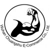 Wuhan Chuangshu company