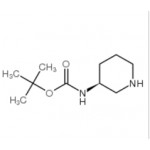 (S)-3-(Boc-amino)piperidine 216854-23-8