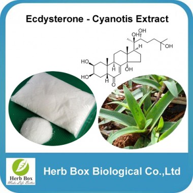 Beta Ecdysterone Cyanotis Vaga Extract