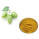 Natural European Hops Flower Extract Powder Plant Extract