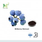 Natural Anthocyanidins/Anthocyanins Bilberry Extract