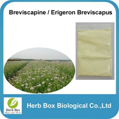 Erigeron breviscapus extract 95% Breviscapine