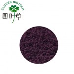 mulberry fruit extract