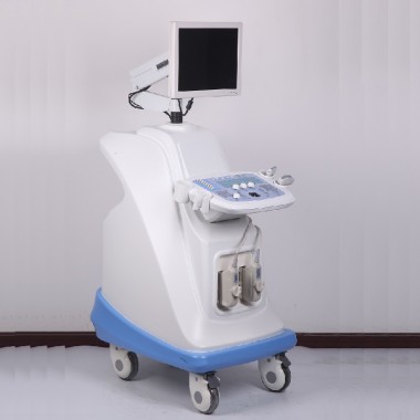 Abdomen Color Ultrasound Scanner Medical Equipment Ultrasound