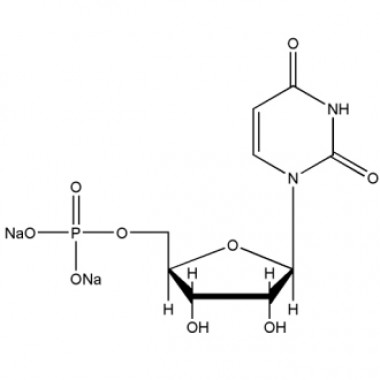 Uridine 5'-monophosphate disodium salt (UMP-NA2,CAS 3387-36-8)
