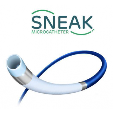 Sneak Microcatheter