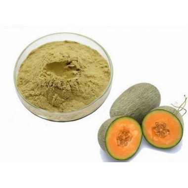 Natural Melon Extract Powder Fruit Extracts