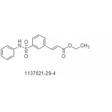 (E)-3-(3-phenylsulfamoyl-phenyl)-acrylic acid ethyl ester