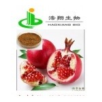 Pomegranate P.E